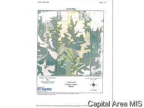 County Line Road Roodhouse, IL 62082 - Photo 8 of 8