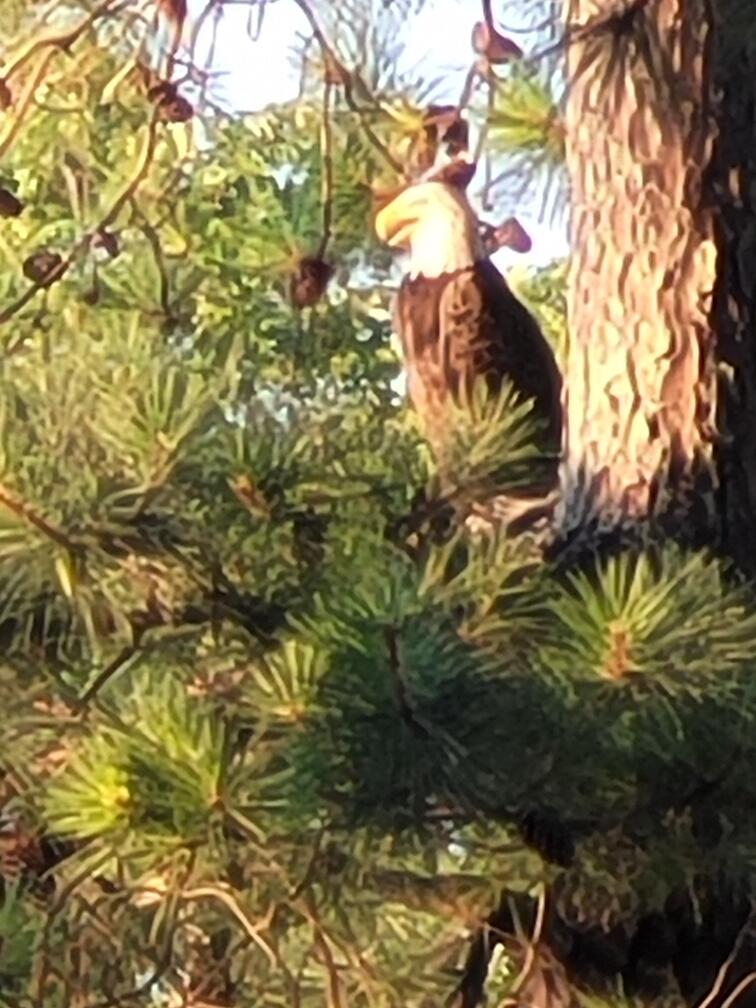 3635 Kings Road Chattanooga, TN 37416 - Photo 12 of 12 3635 Kings Rd