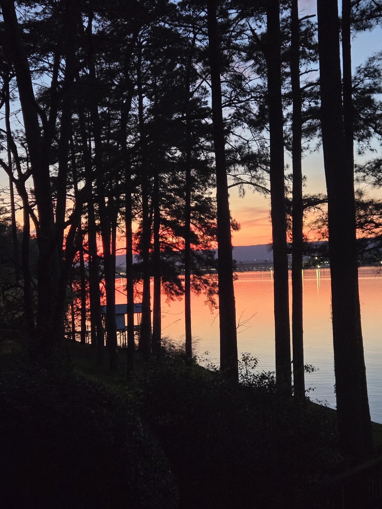 3635 Kings Road Chattanooga, TN 37416 - Photo 10 of 12 3635 Kings Rd