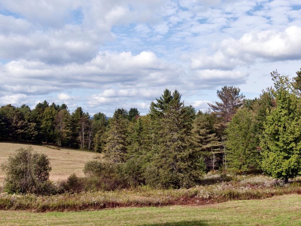 1633 Perry Hill Road Waterbury, VT 05676 - Photo 23 of 46