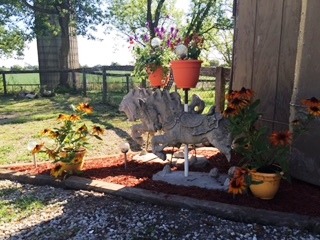 47 12n204 Il Route Hampshire, IL 60140 - Photo 8 of 25 a view of a backyard with plants and a patio