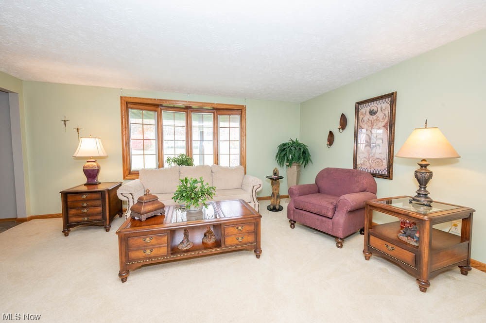 4639 Tippecanoe Road Youngstown, OH 44511 - Photo 11 of 36 Living room with light carpet and a textured ceiling