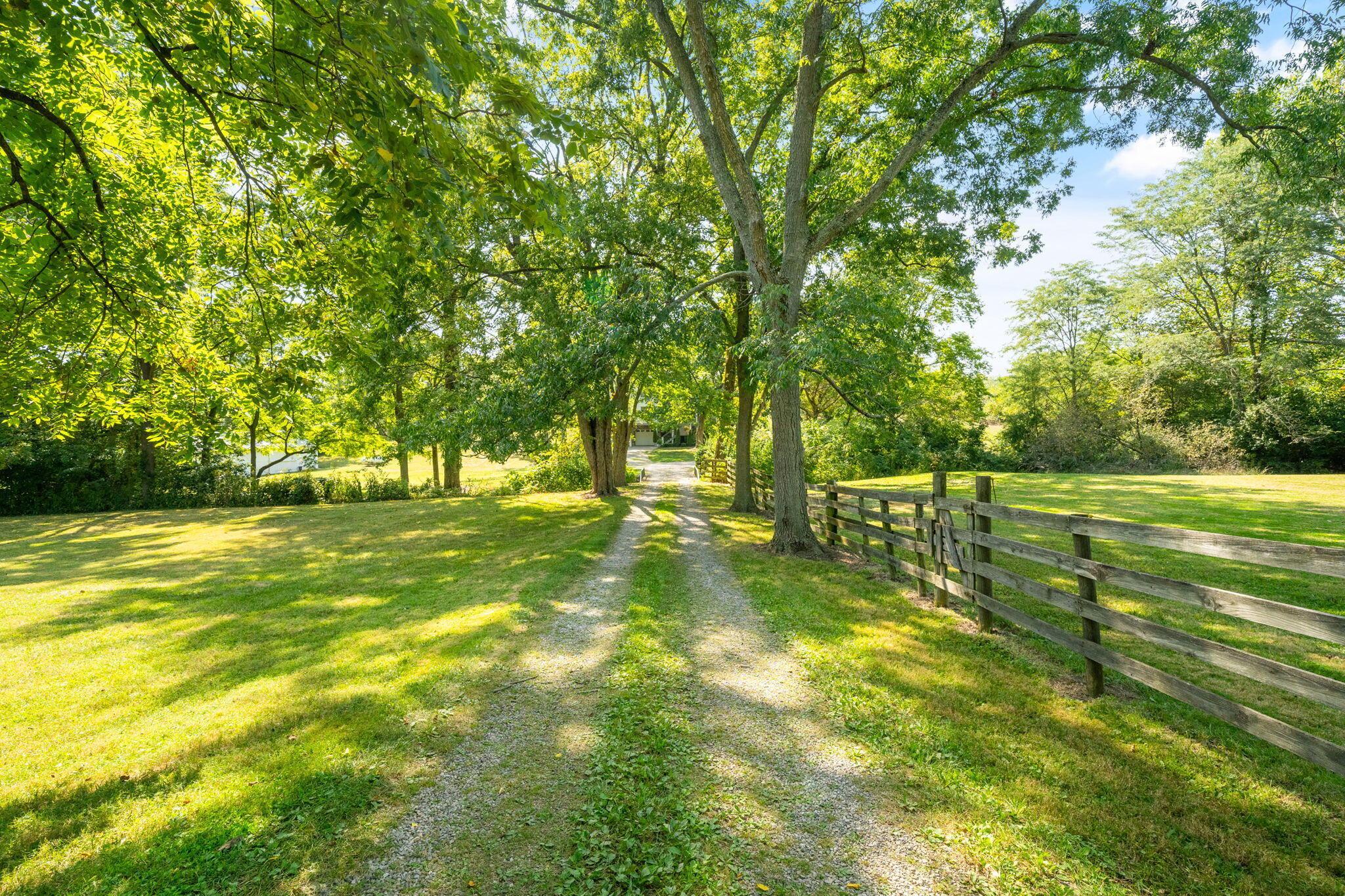 4356 Hawk Road Mechanicsburg, OH 43044 - Photo 3 of 115 Spectacular drive up