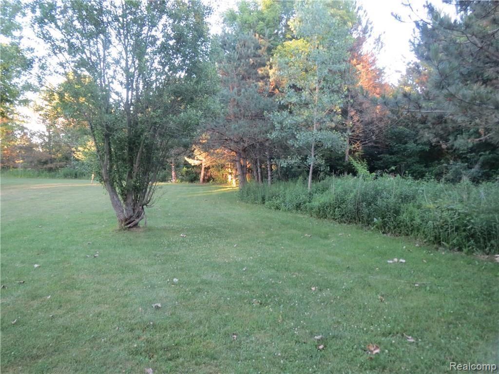 255 West Burns Line Road Melvin, MI 48454 - Photo 42 of 47 IMG_1086.JPG
