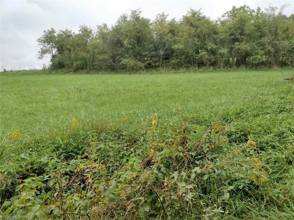 Xx 2-acres Locust Grove Road Westfield, NC 27053 - Photo 2 of 5 Gallery Image 2