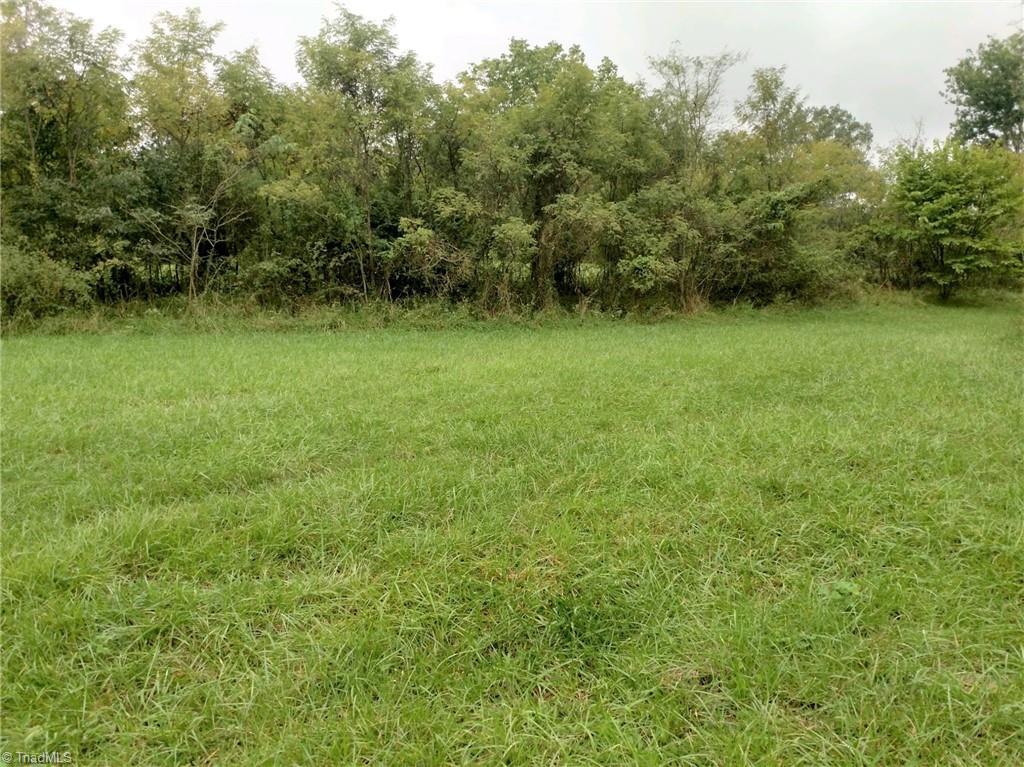 Xx 2-acres Locust Grove Road Westfield, NC 27053 - Photo 4 of 5 Gallery Image 4