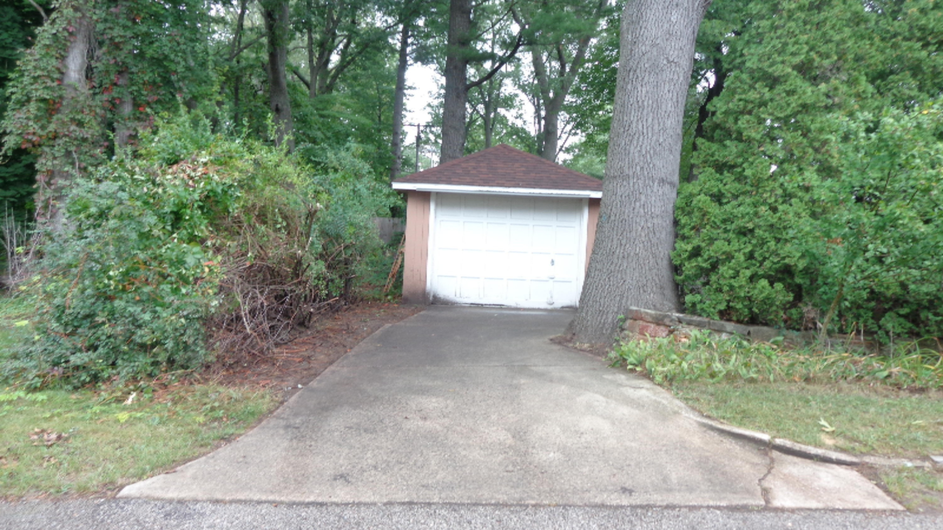 1810 Seminole Road Norton Shores, MI 49441 - Photo 49 of 53 DSC01323