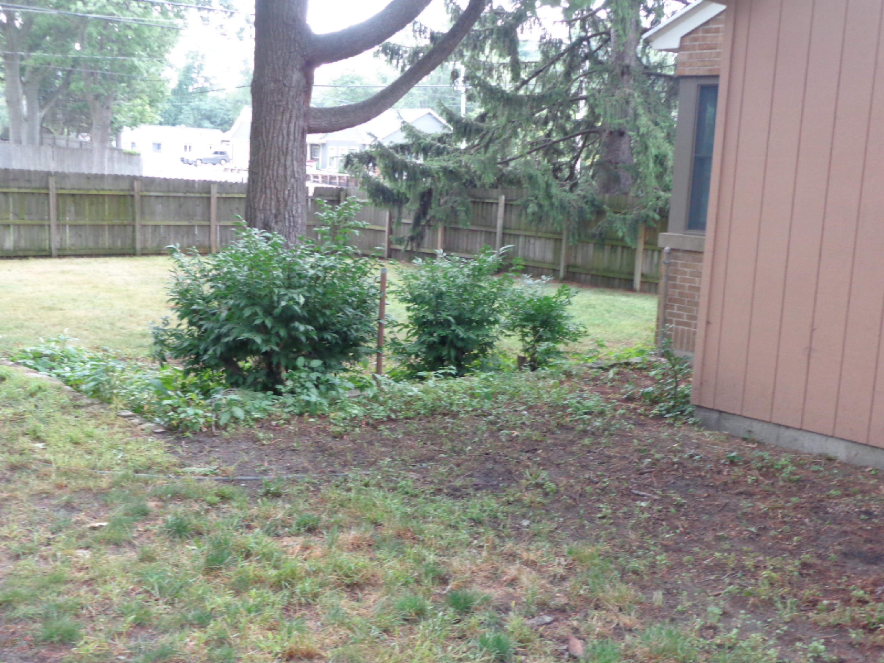 1810 Seminole Road Norton Shores, MI 49441 - Photo 50 of 53 DSC01311