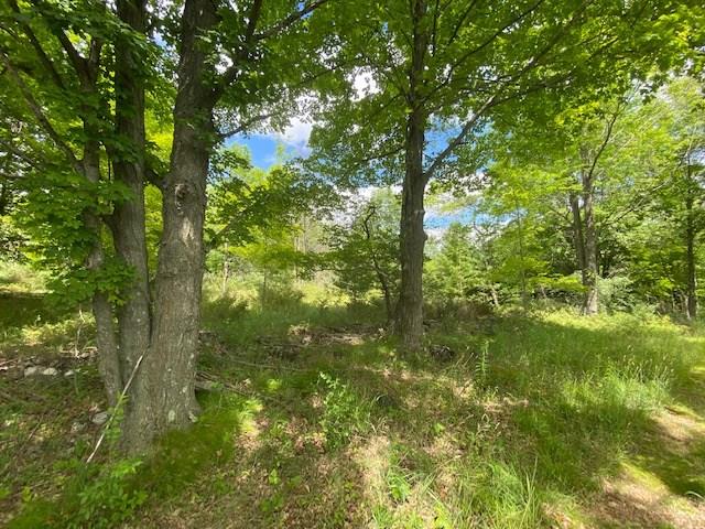 Lot 2 West Meadow Road Fish Creek, WI 54212 - Photo 1 of 40