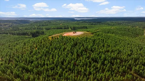 a view of a city with lush green forest