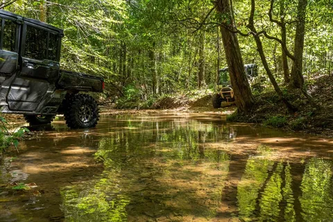 a view of water pond with green space