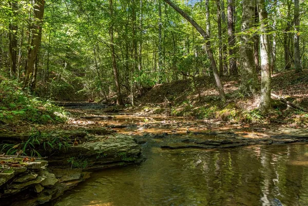 $9,500,000 | 0 Fox Lane, Savannah, TN 38372