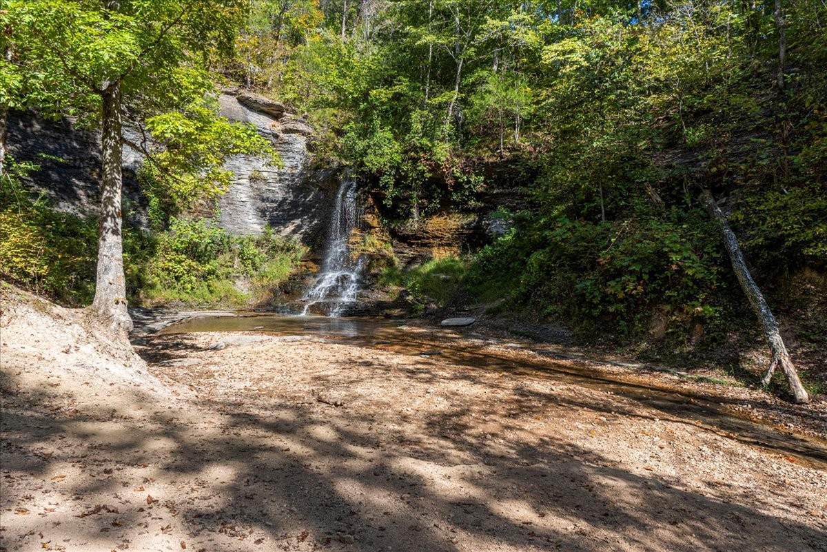 0 Fox Lane Savannah, TN 38372 - Photo 4 of 11 a view of a yard with plants and trees