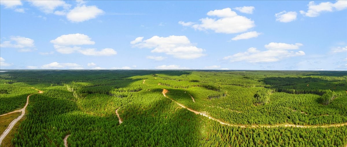 0 Fox Lane Savannah, TN 38372 - Photo 6 of 11 a view of a lake