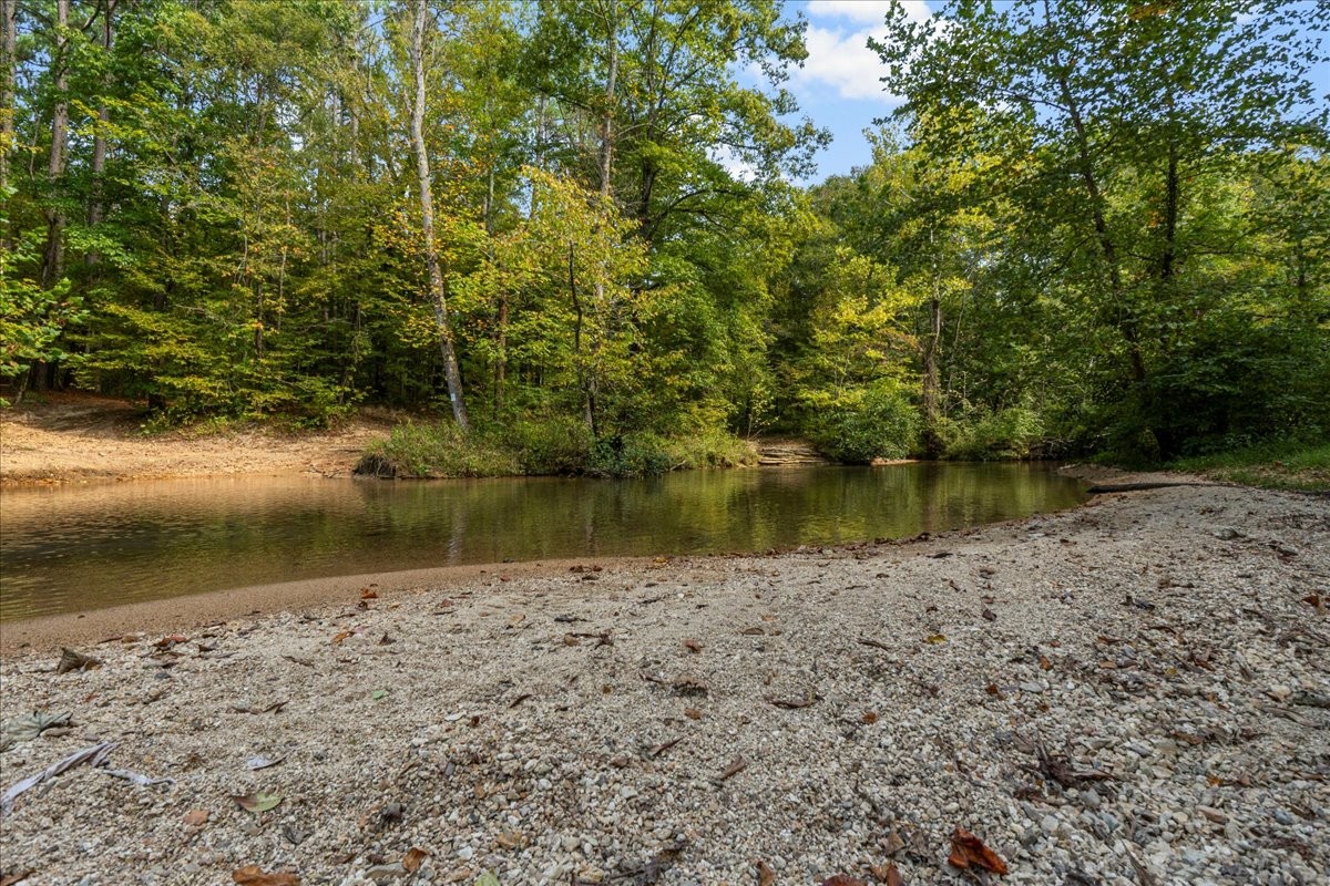 0 Fox Lane Savannah, TN 38372 - Photo 8 of 11 a view of lake from next to yard