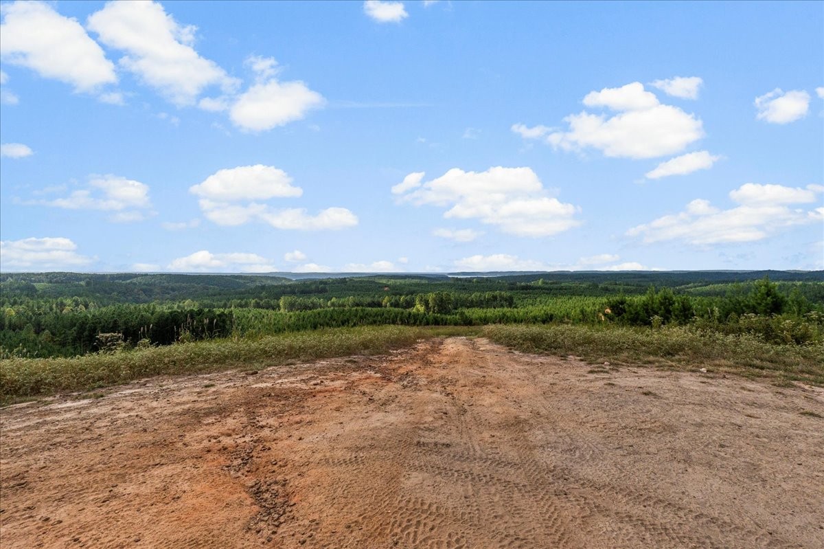 0 Fox Lane Savannah, TN 38372 - Photo 9 of 11 a view of lake with mountain