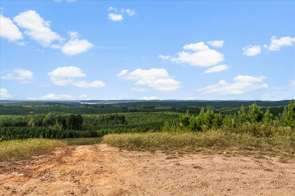 $9,500,000 | 0 Fox Lane, Savannah, TN 38372