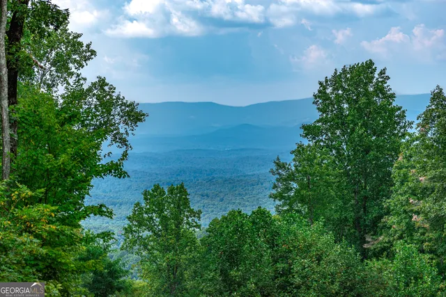a view of a lake with a mountain in the background
