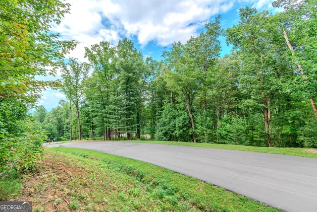 a view of green field with trees in the background