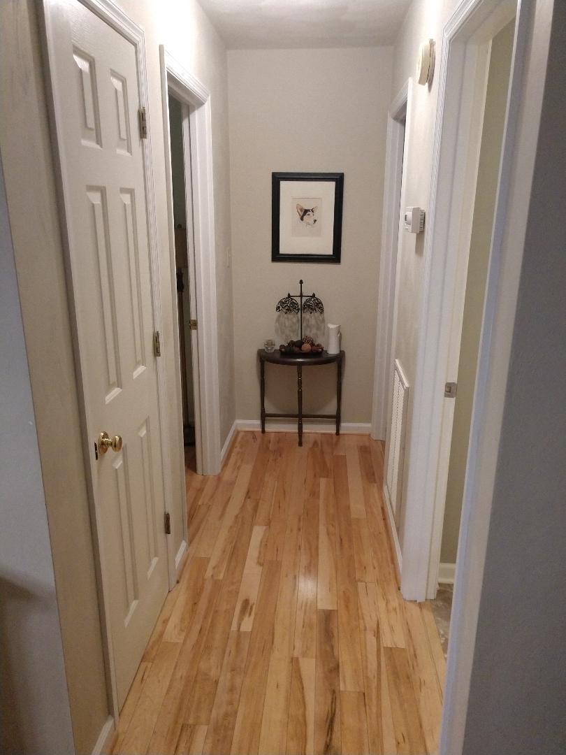 1643 Diamond Hill Road Moneta, VA 24121 - Photo 14 of 27 Hallway