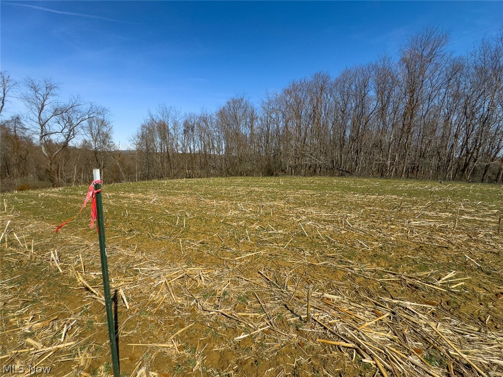 0 Lonesome Road Thornville, OH 43076 - Photo 23 of 31