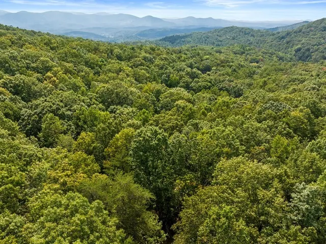 a view of a green field with lots of bushes