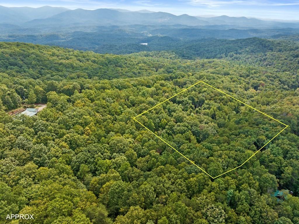 23 C Lake View Road Cherry Log, GA 30522 - Photo 5 of 11 a view of an outdoor space with a lake view