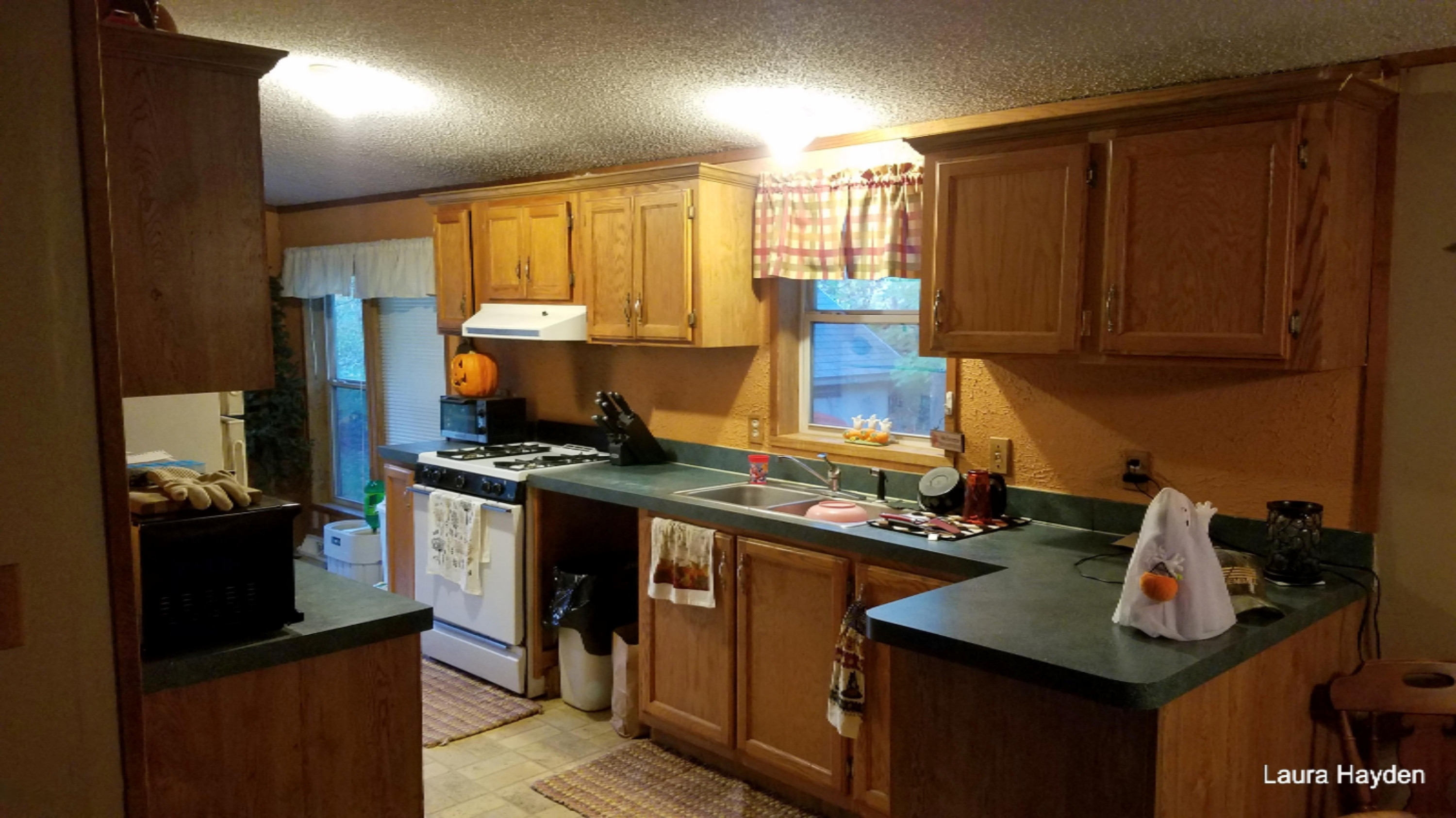 2543 Pinckney Road Saranac, MI 48881 - Photo 6 of 17 20171017_184706