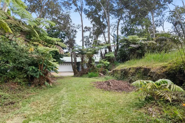 a view of a garden with a tree