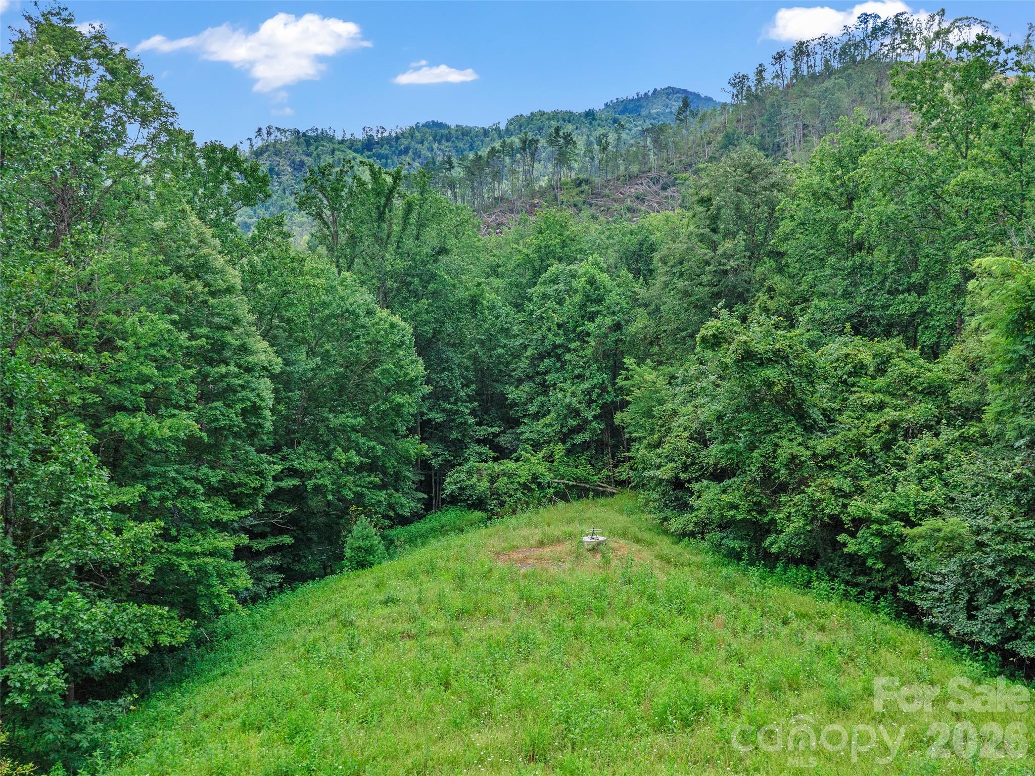 2216 Beans Creek Road Bakersville, NC 28705 - Photo 29 of 39 a view of a lush green space