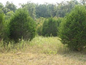 470 Gritton Road Salvisa, KY 40372 - Photo 72 of 96 Photo 74