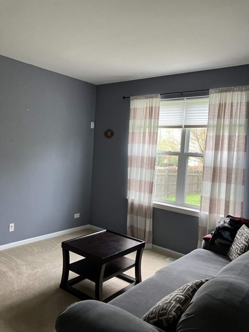 13710 Marigold Road Plainfield, IL 60544 - Photo 14 of 36 Gallery Image 14
