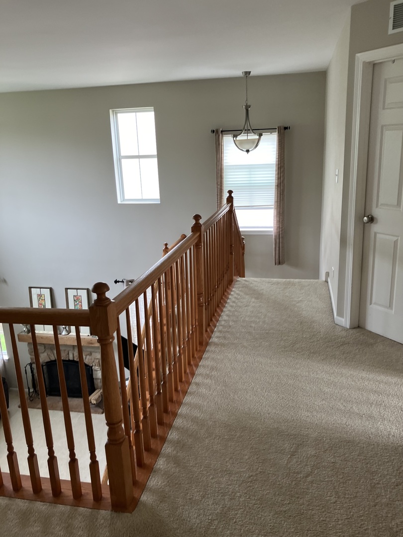 13710 Marigold Road Plainfield, IL 60544 - Photo 16 of 36 Gallery Image 16