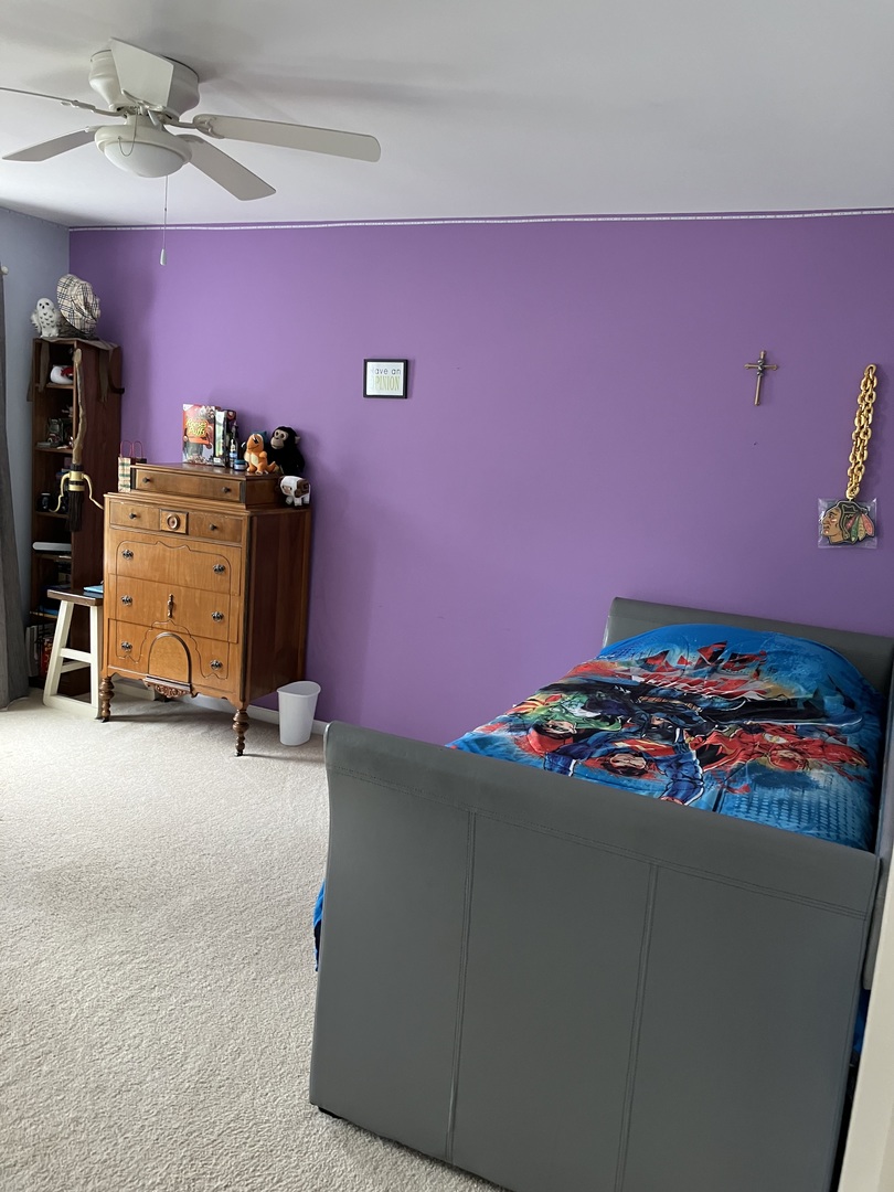 13710 Marigold Road Plainfield, IL 60544 - Photo 24 of 36 Gallery Image 24
