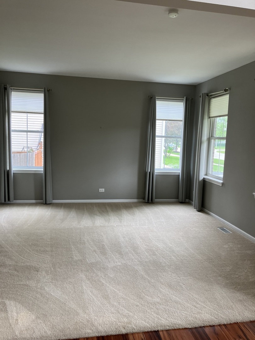 13710 Marigold Road Plainfield, IL 60544 - Photo 4 of 36 Gallery Image 4