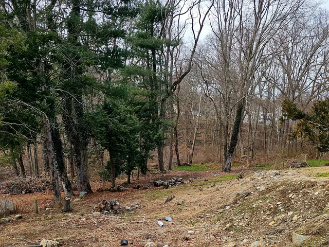 a view of house with trees