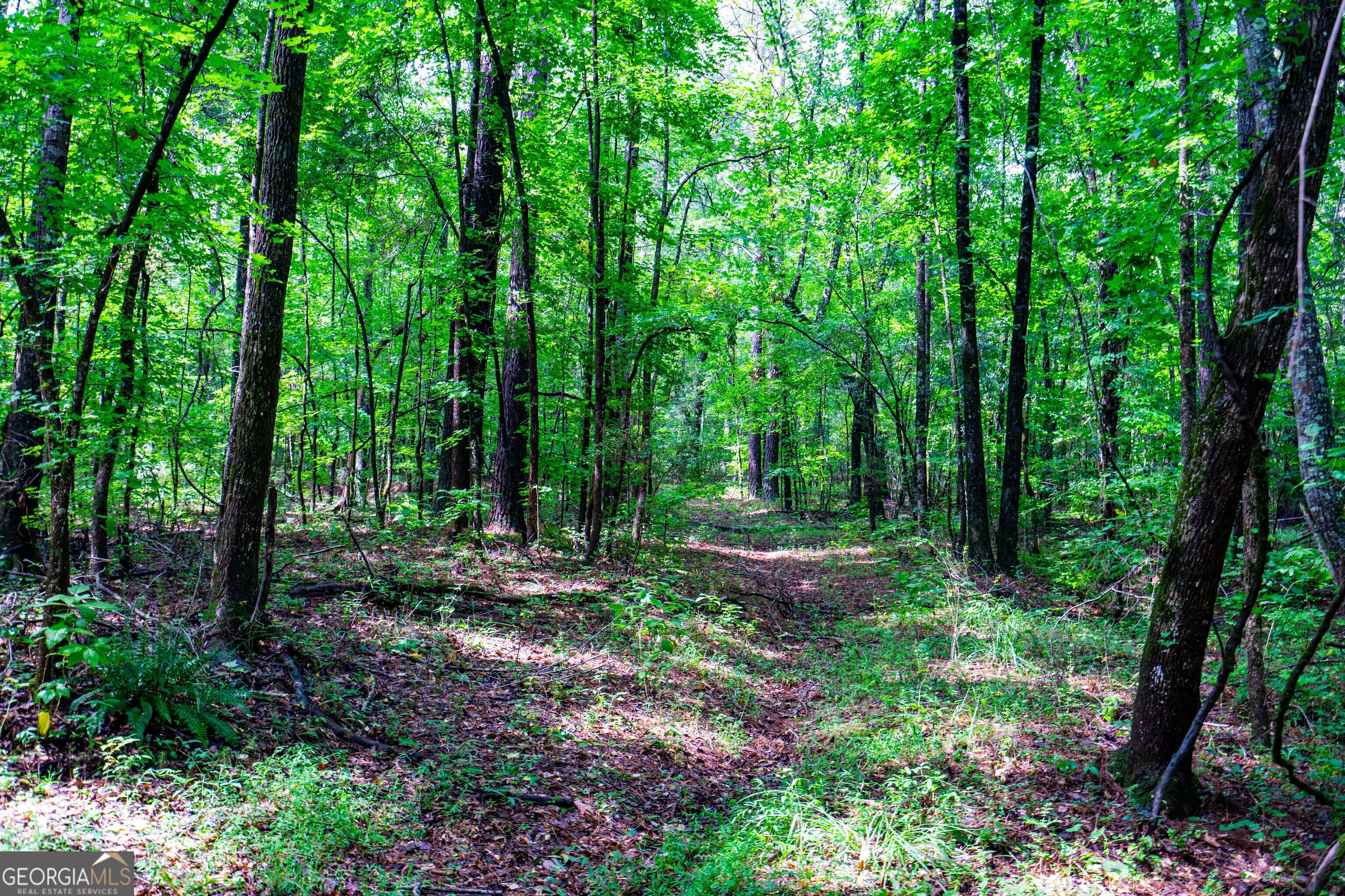 0 Briley Road LaGrange, GA 30241 - Photo 13 of 24 a view of back yard