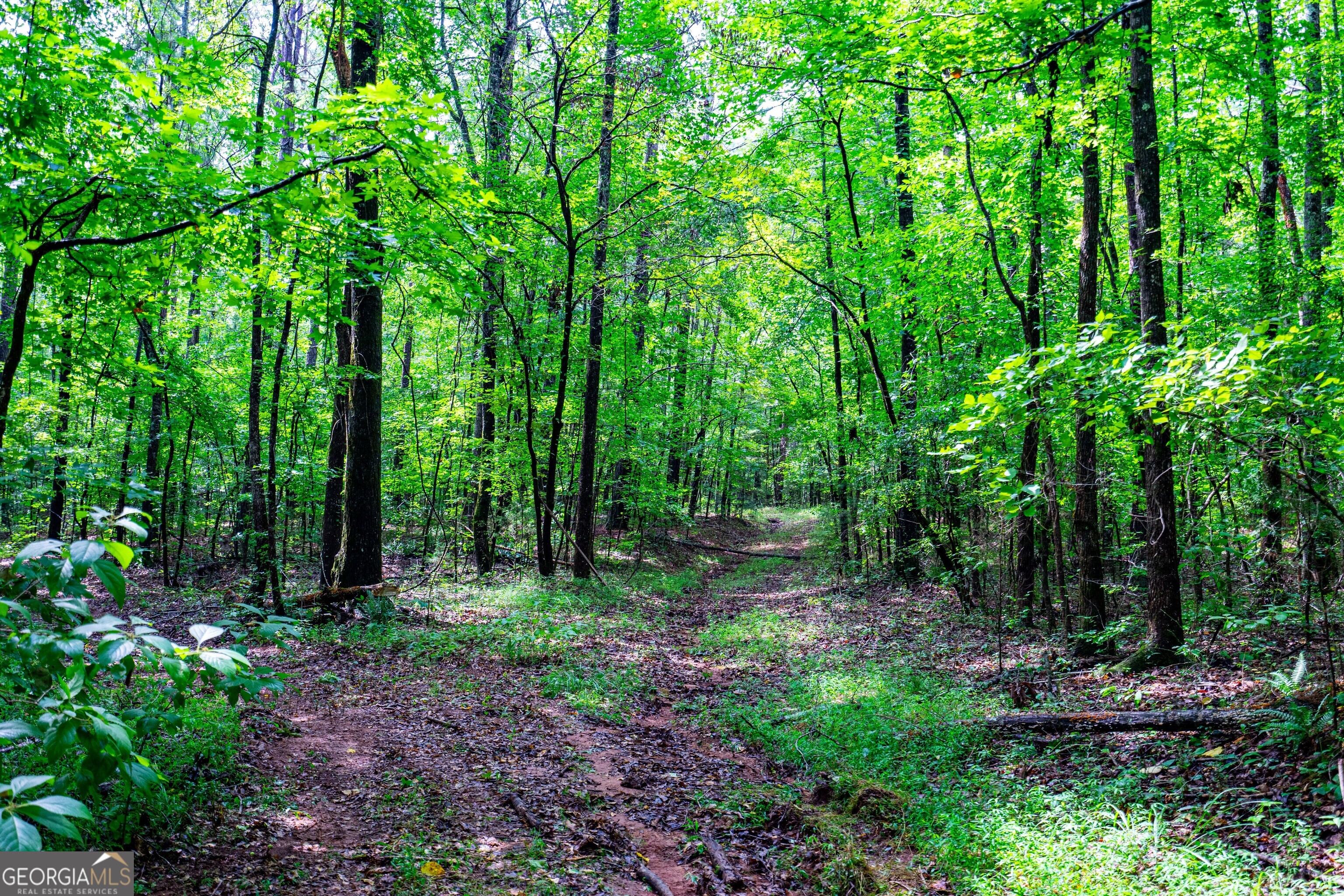 0 Briley Road LaGrange, GA 30241 - Photo 14 of 24 a view of outdoor space and green space