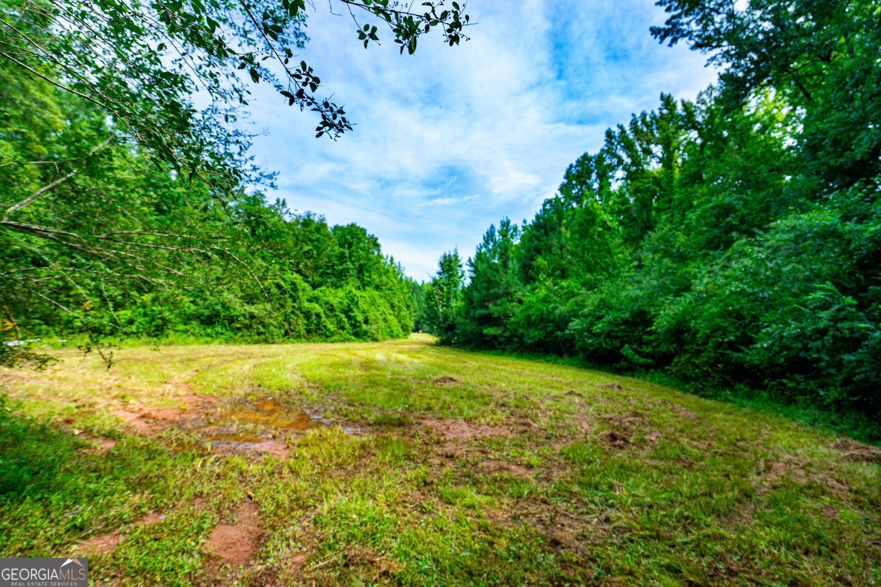 0 Briley Road LaGrange, GA 30241 - Photo 15 of 24 a view of a yard with a tree