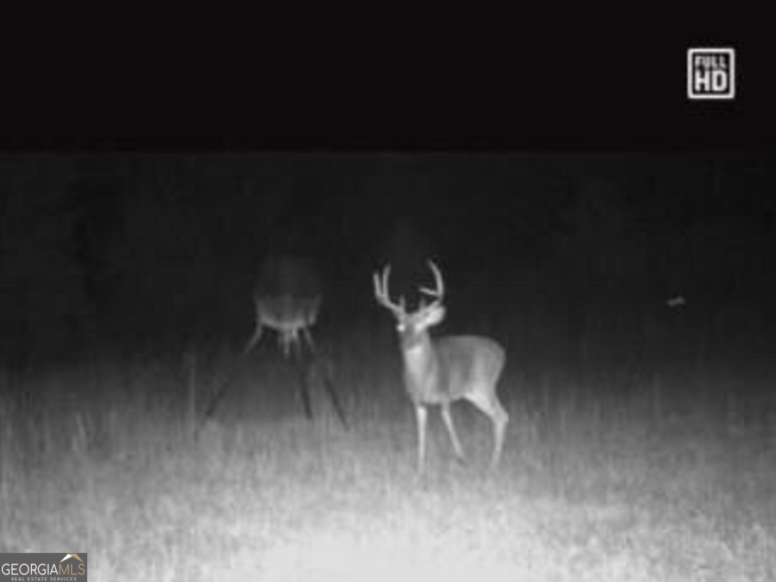 0 Briley Road LaGrange, GA 30241 - Photo 20 of 24 a close view of light fixtures and window