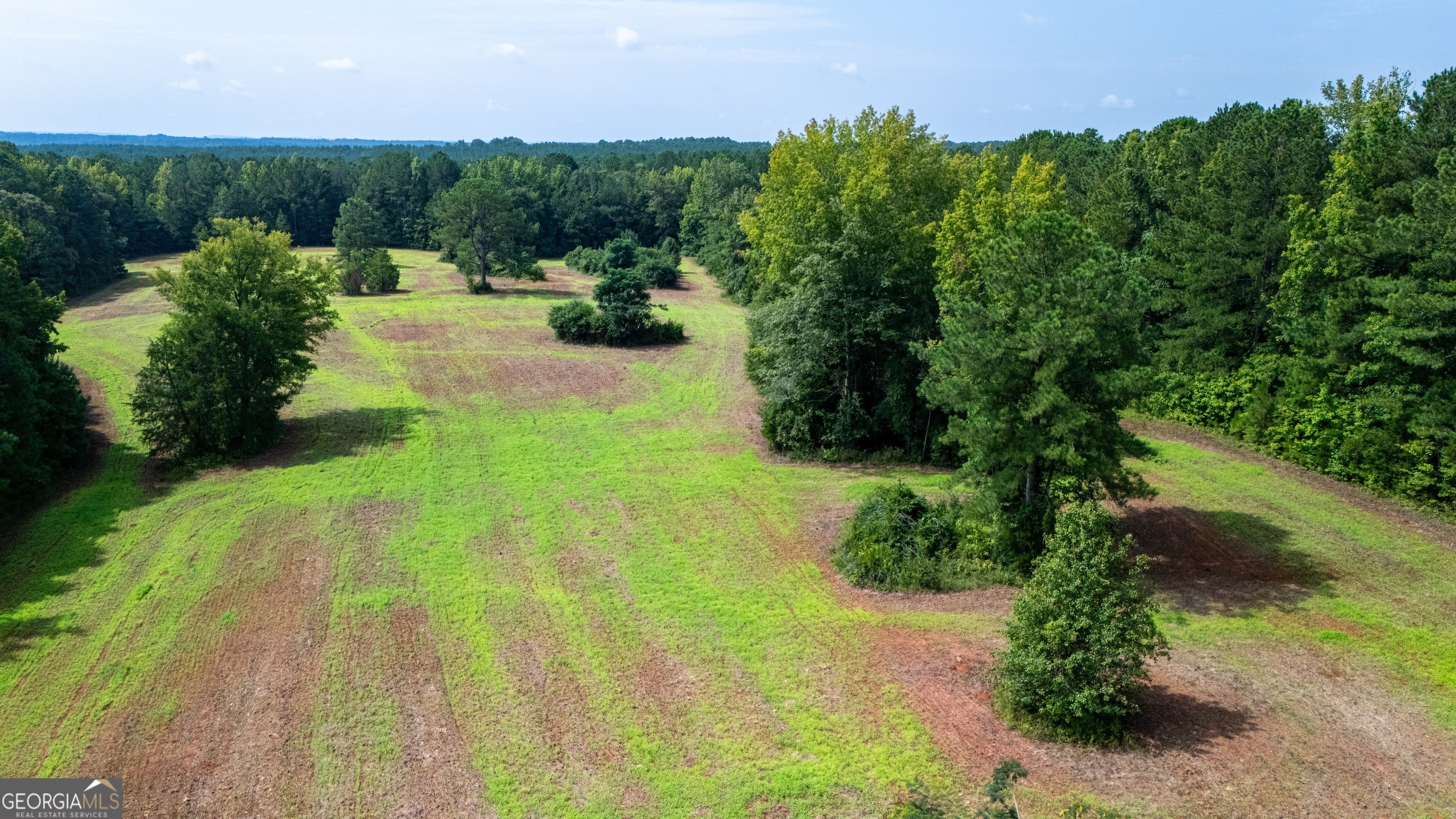 0 Briley Road LaGrange, GA 30241 - Photo 2 of 24 a view of a garden with an outdoor space