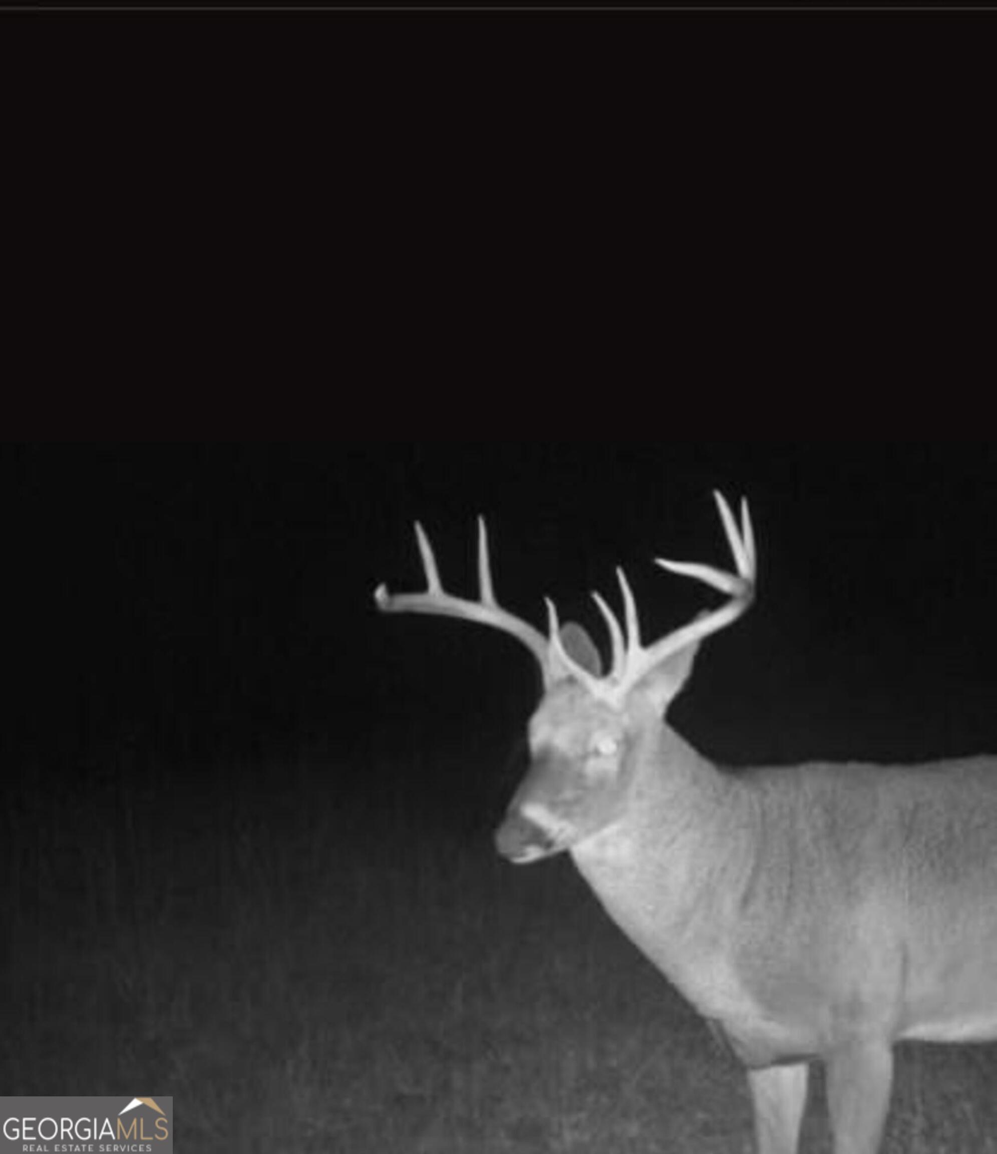 0 Briley Road LaGrange, GA 30241 - Photo 21 of 24 a close view of light fixtures and a table