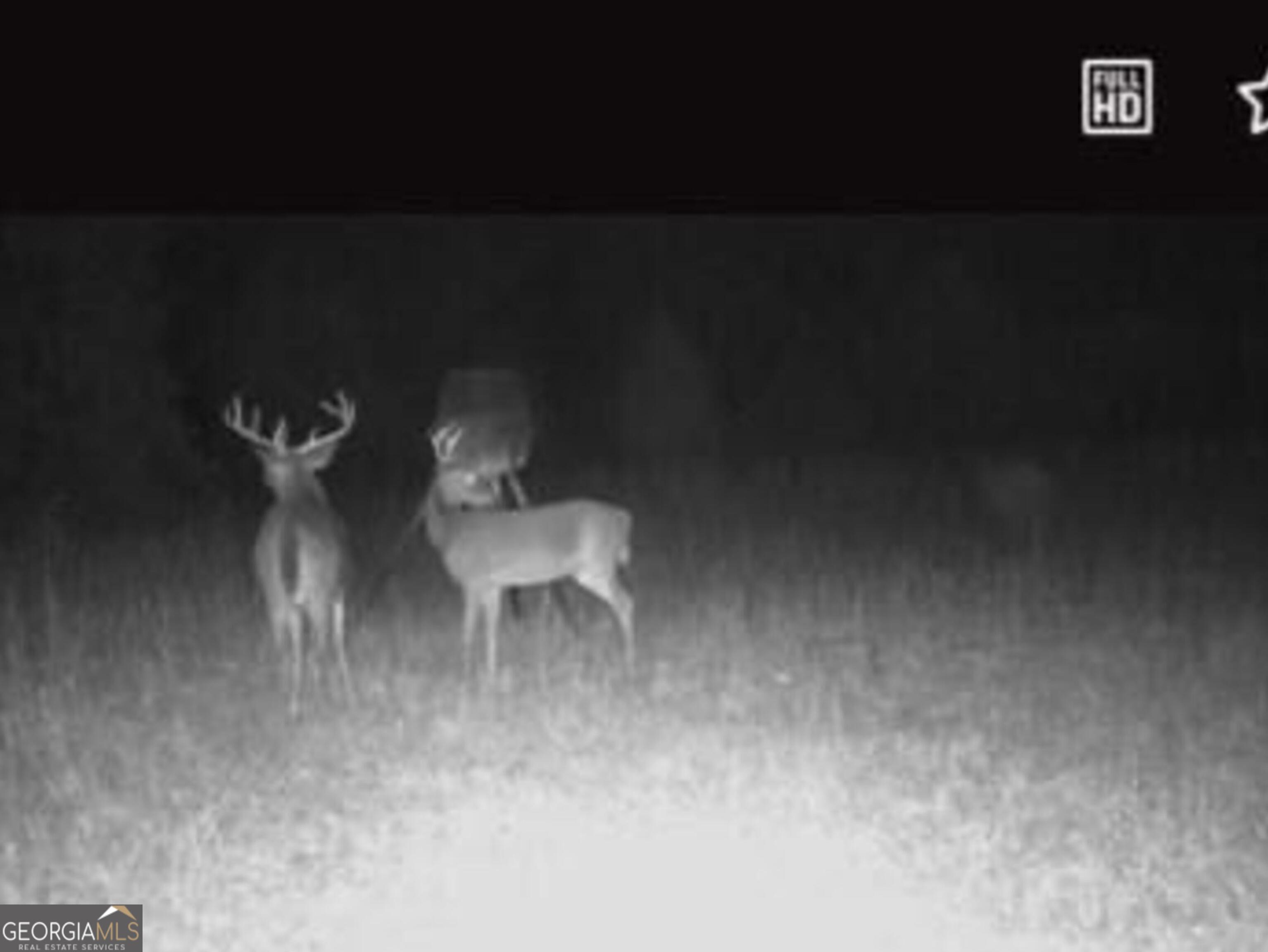 0 Briley Road LaGrange, GA 30241 - Photo 22 of 24 a living room with furniture