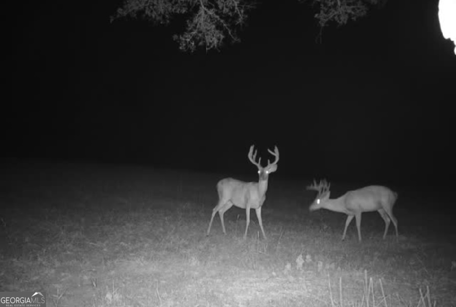 0 Briley Road LaGrange, GA 30241 - Photo 23 of 24 a view of a room with a table chair and a potted plant