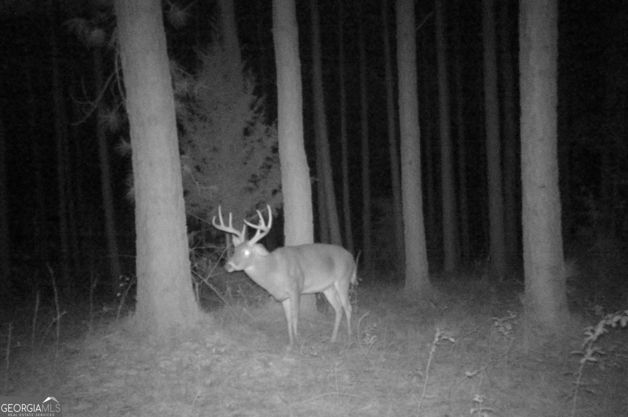 0 Briley Road LaGrange, GA 30241 - Photo 24 of 24