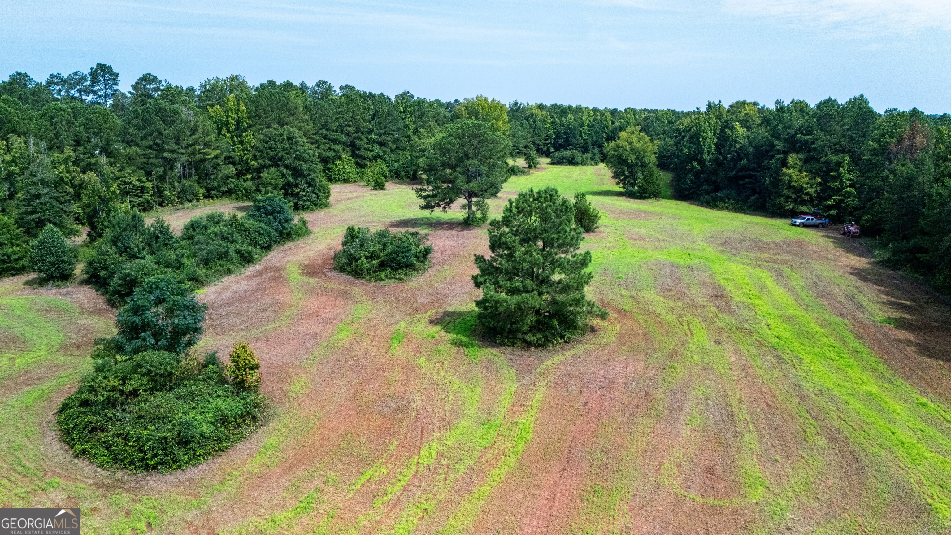 0 Briley Road LaGrange, GA 30241 - Photo 4 of 24 a view of a garden with trees