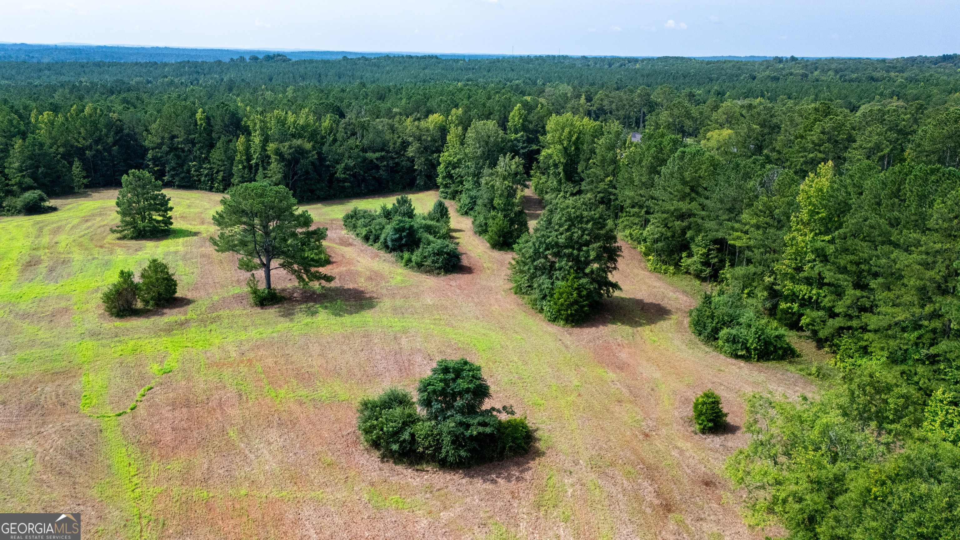 0 Briley Road LaGrange, GA 30241 - Photo 7 of 24 a view of a garden with a street