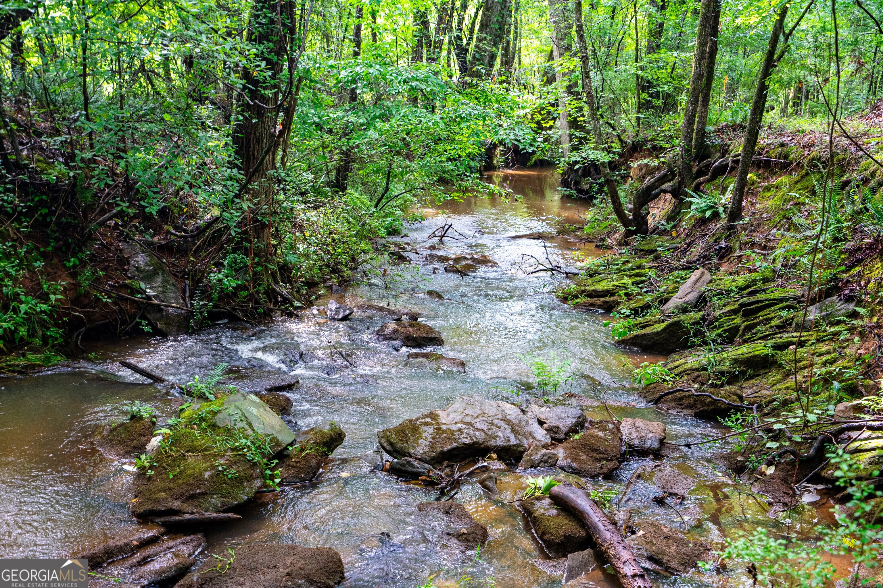 0 Briley Road LaGrange, GA 30241 - Photo 9 of 24 a view of a lake with lots of trees