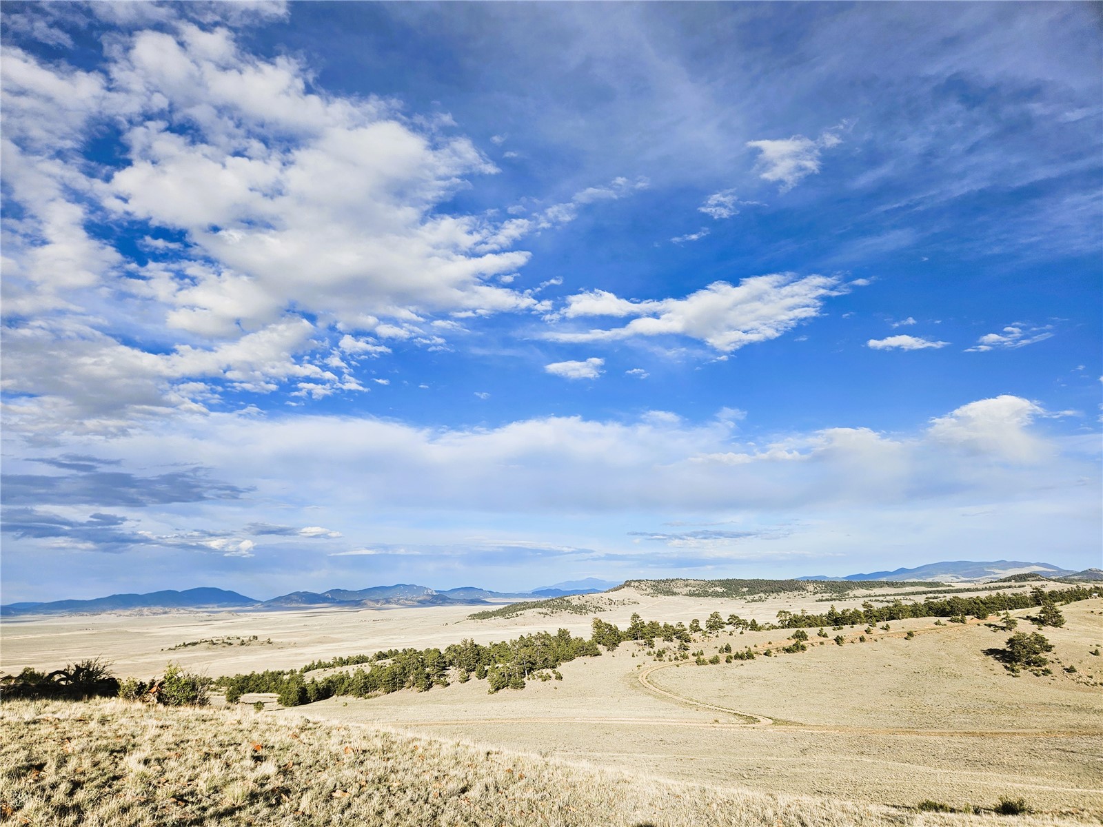 Pcs#24142 Antero Road Hartsel, CO 80449 - Photo 20 of 50