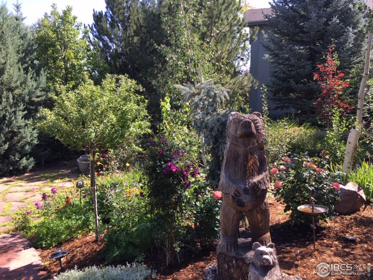 2435 Targhee Point Lafayette, CO 80026 - Photo 35 of 39 a view of a tree in a yard